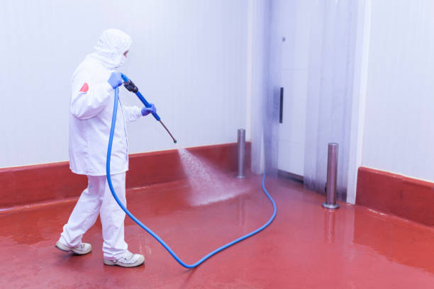 Best Boat and Dock Cleaning  in Fairless Hills, PA